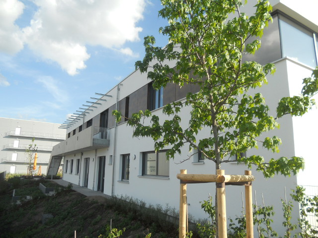 Kita_Stubenwald Bild 5